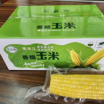 黑龙江特产黏玉米，真空包装，一件代发
