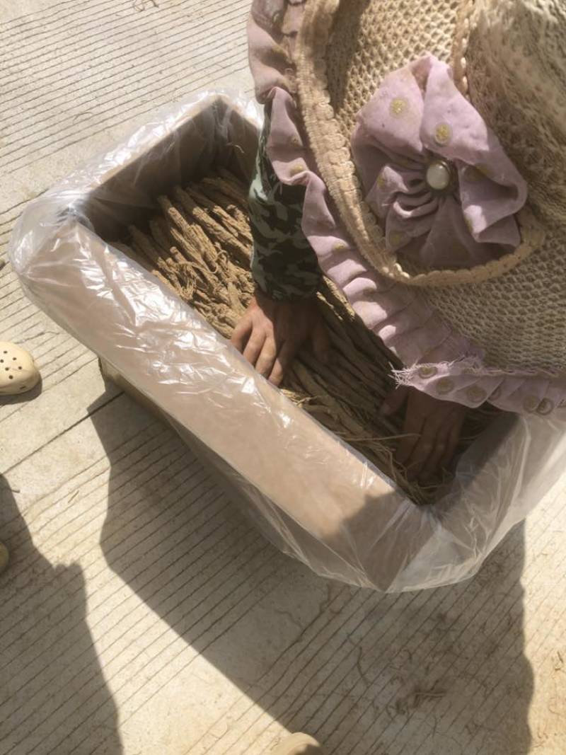 板桥党参特级精品：直径1.3以上电商货，土特产货，零售礼品货
