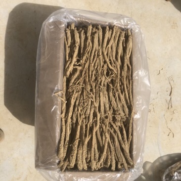 板桥党参特级精品：直径1.3以上电商货，土特产货，零售礼品货