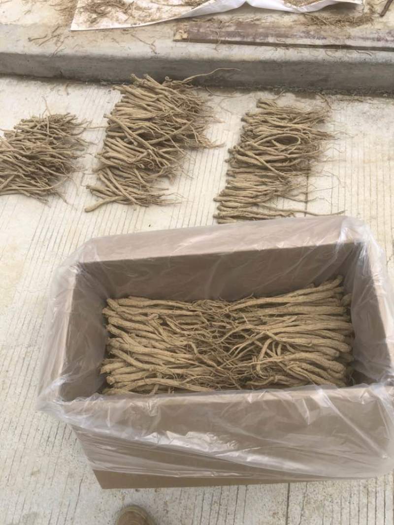 特级精品板桥党参大个子：电商、零售批发、礼品、土特产、摆摊、