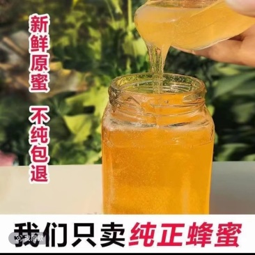 舟曲蜂蜜