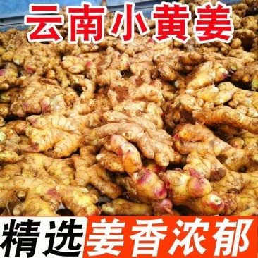 云南正宗小黄姜