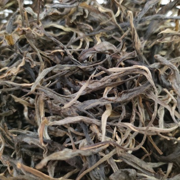 江城普洱茶晒青茶