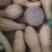 南瓜