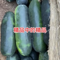 现货冬瓜