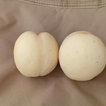 白桃永莲蜜，好吃不贵4两起