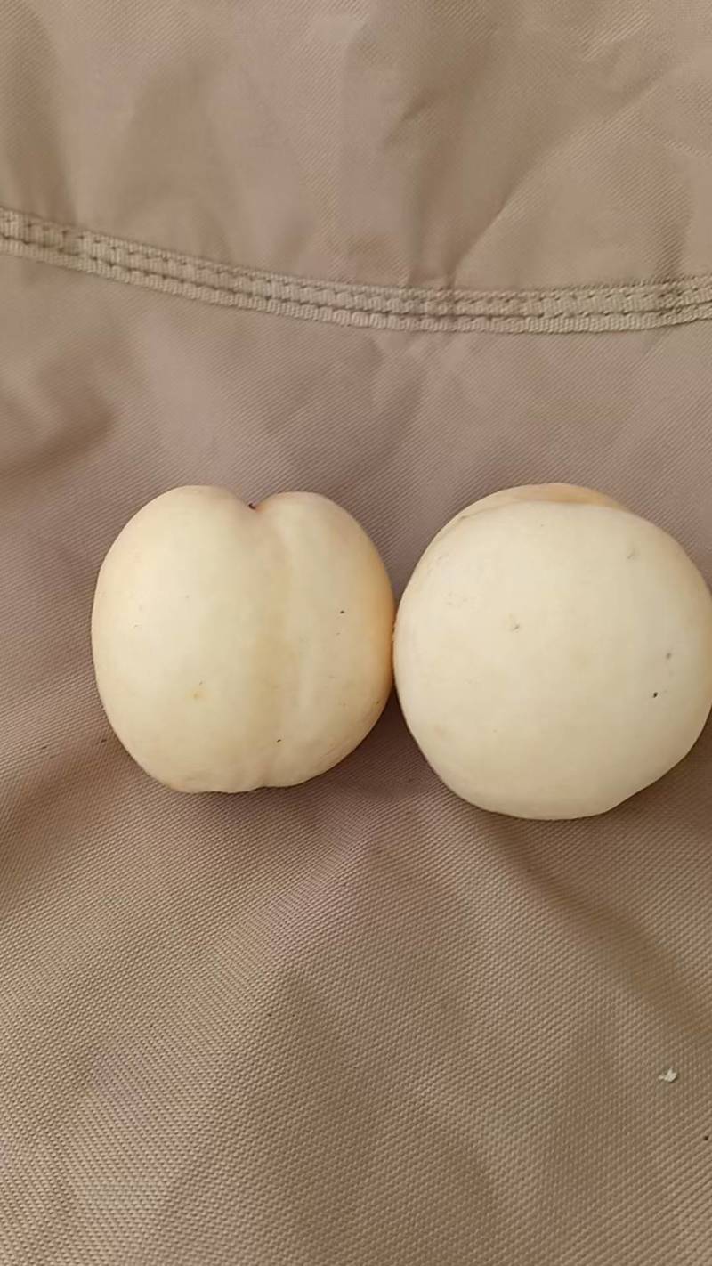 白桃永莲蜜，好吃不贵4两起
