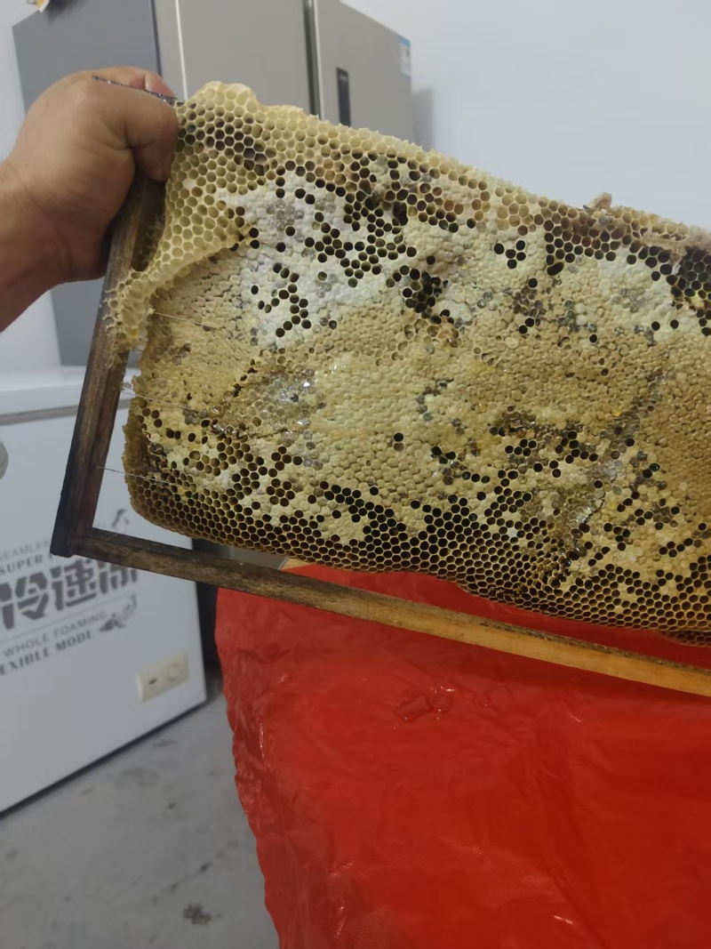 正宗高山土蜂蜜。百花蜜