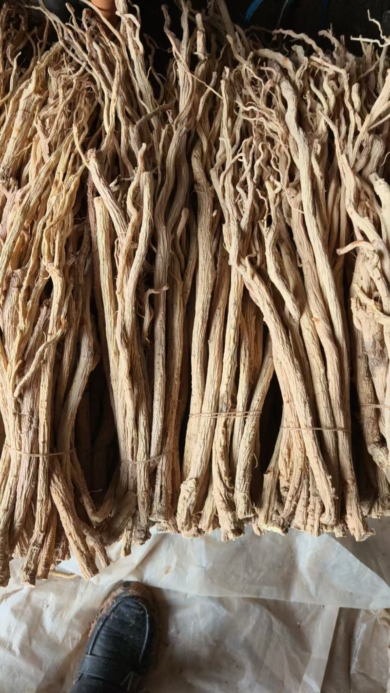 甜口防风精品手工挑选