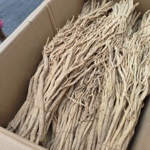 甜口防风精品手工挑选