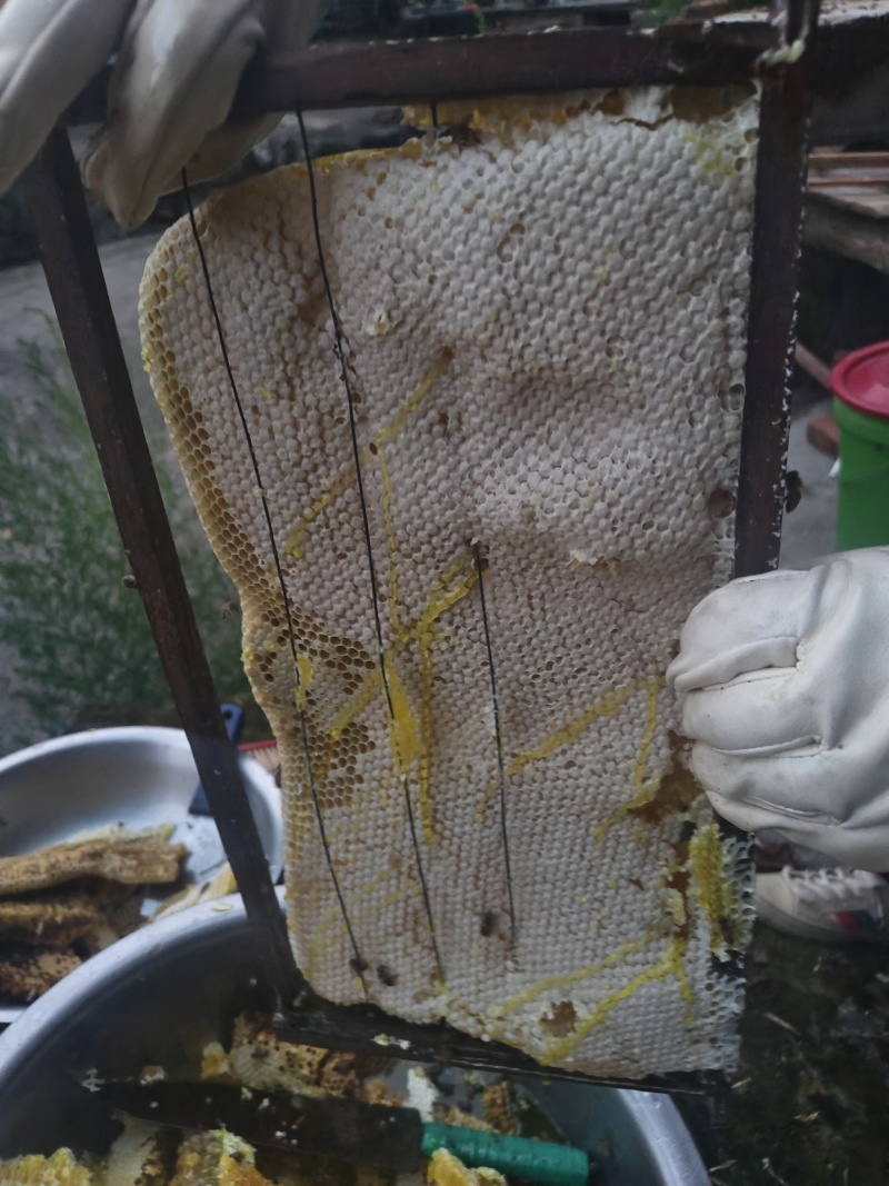 水磨镇正宗土蜂蜜，