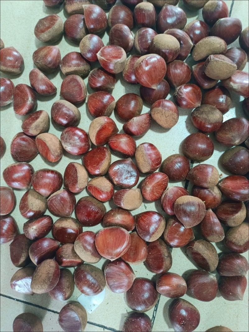 丹东板栗🌰一件代发，品质保证，售后无忧！