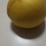冬桃