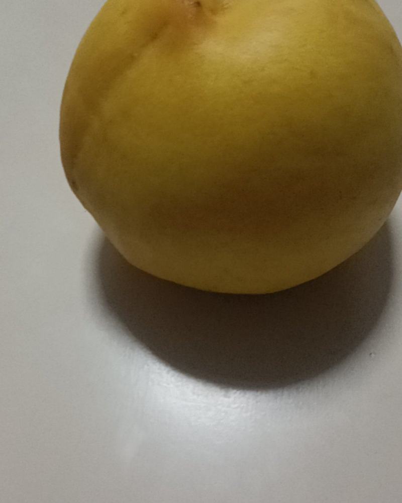 冬桃