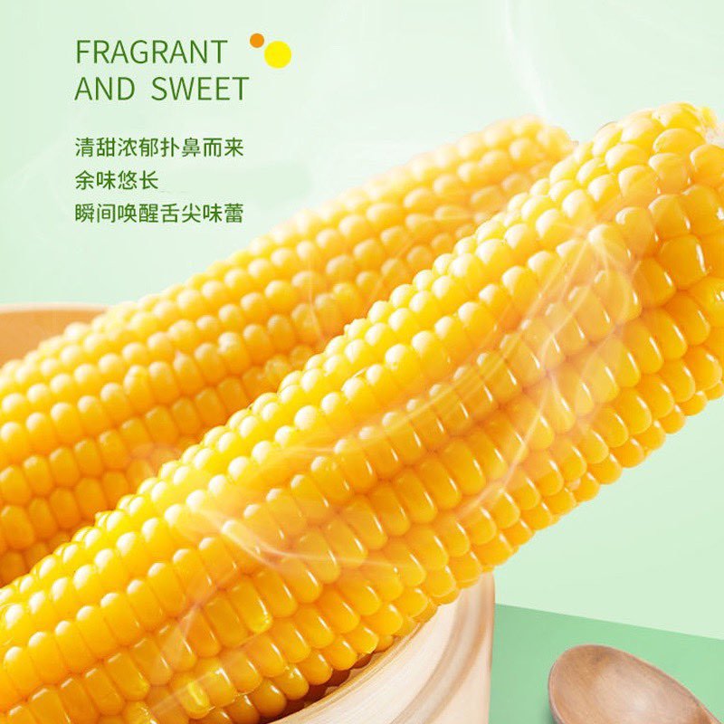 8根鲜食玉米2kg糯玉米东北粘玉米