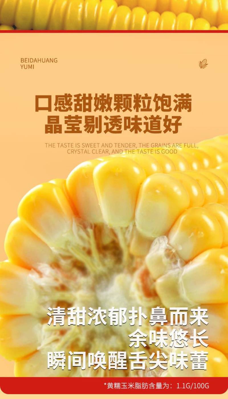 8根鲜食玉米2kg糯玉米东北粘玉米