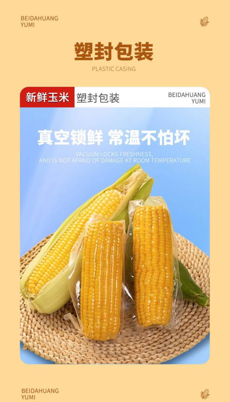 8根鲜食玉米2kg糯玉米东北粘玉米