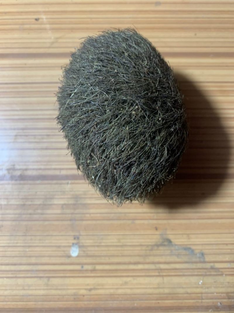 猪宝