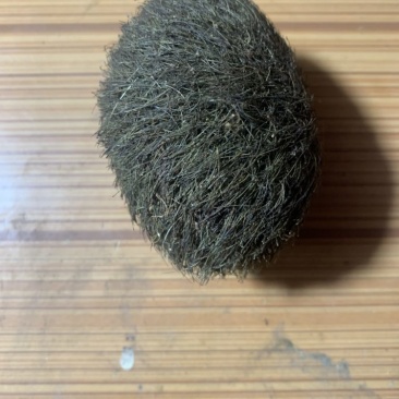 猪宝