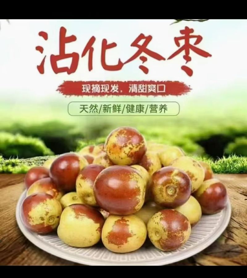 沾化一代、二代冬枣，分一级、二级、三级、四级