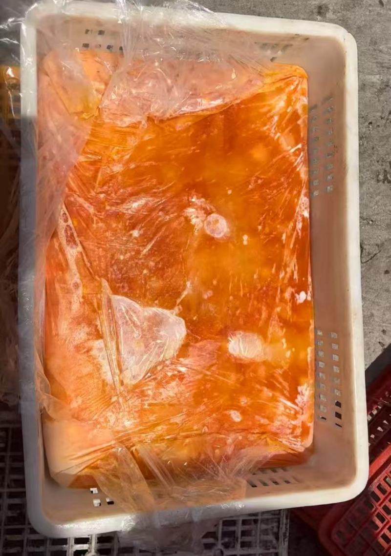 蛋液山东厂家直销质量保证价格实惠