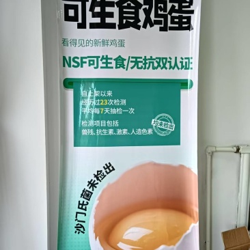 想卖6000多枚可生食鸡蛋