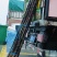 广西黑皮甘蔗精品货有七吨半货