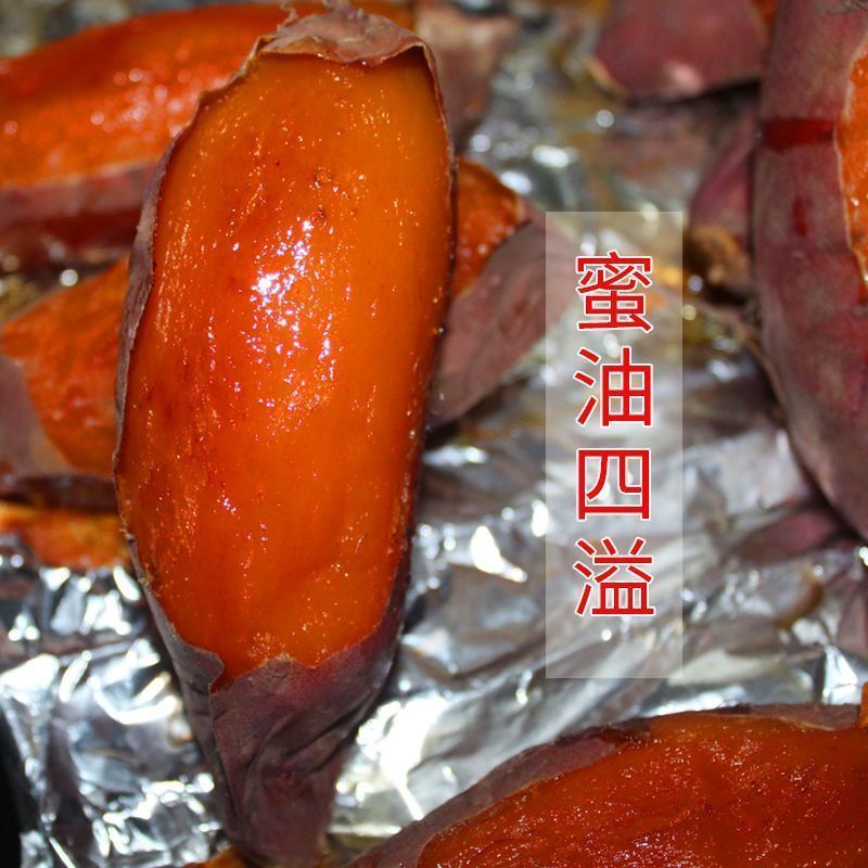 山东烟薯25号