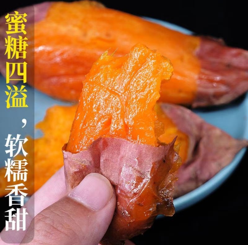 山东烟薯25号