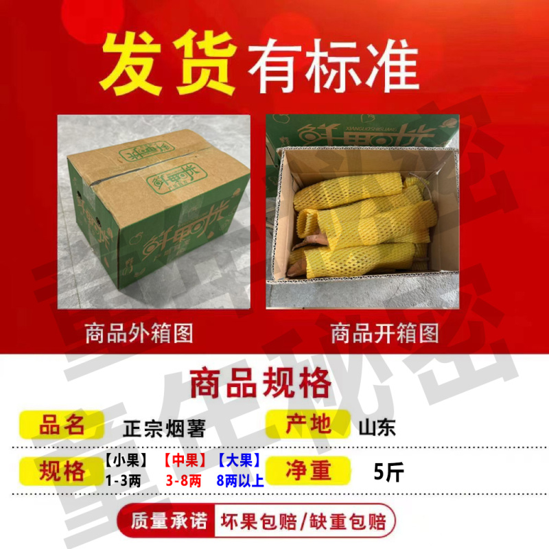 山东烟薯25号