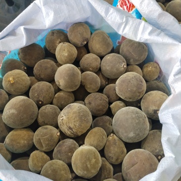 橘红果（统货）