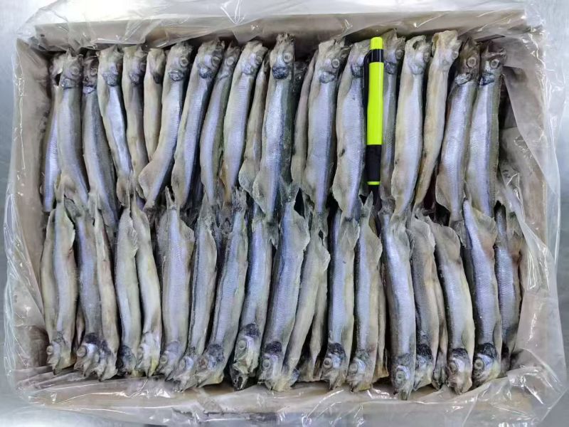 多春鱼公体原料产地直发质量保证干货