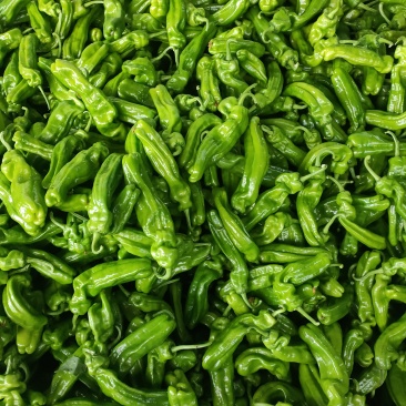 山东临沂费县【芜湖椒苏椒】主产区大量供应