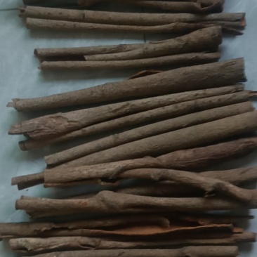 广东罗定桂皮