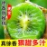 陕西眉县徐香猕猴桃水果新鲜当季整箱绿心弥猴桃正宗奇异果
