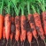 珍品胡萝卜🥕