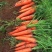 珍品胡萝卜🥕