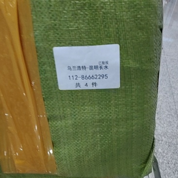 内蒙古黑松露