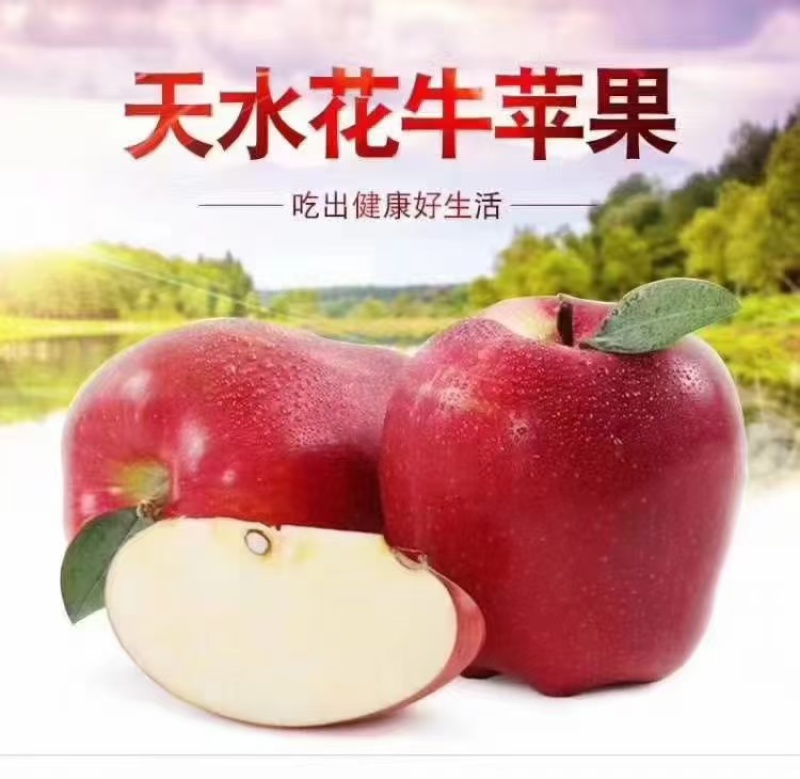 甘肃天水花牛苹果