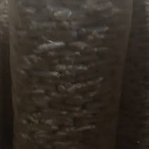 竹荪一