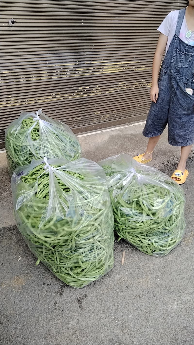 贵阳水菜批发