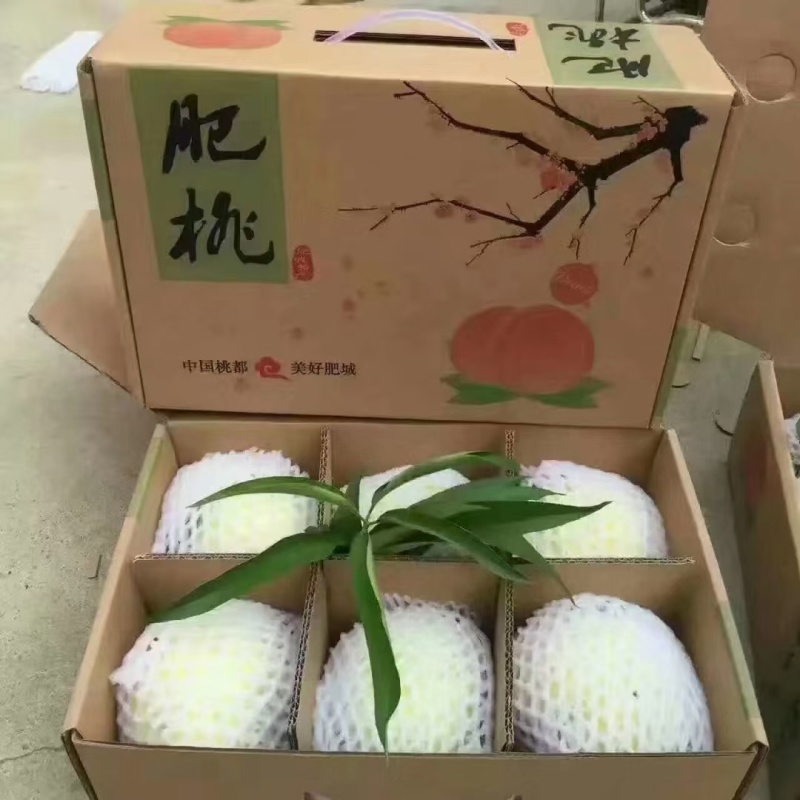肥城桃