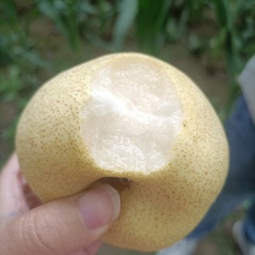 梨