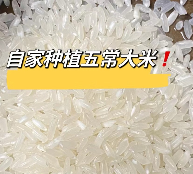 五常稻花香二号大米