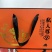 五常稻花香二号大米