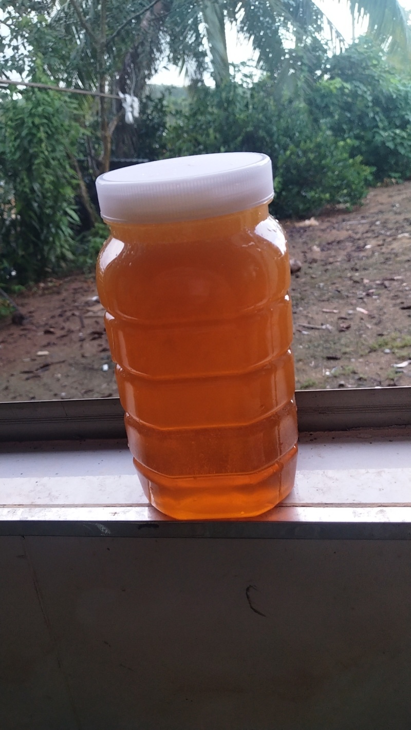 纯野生蜂蜜
