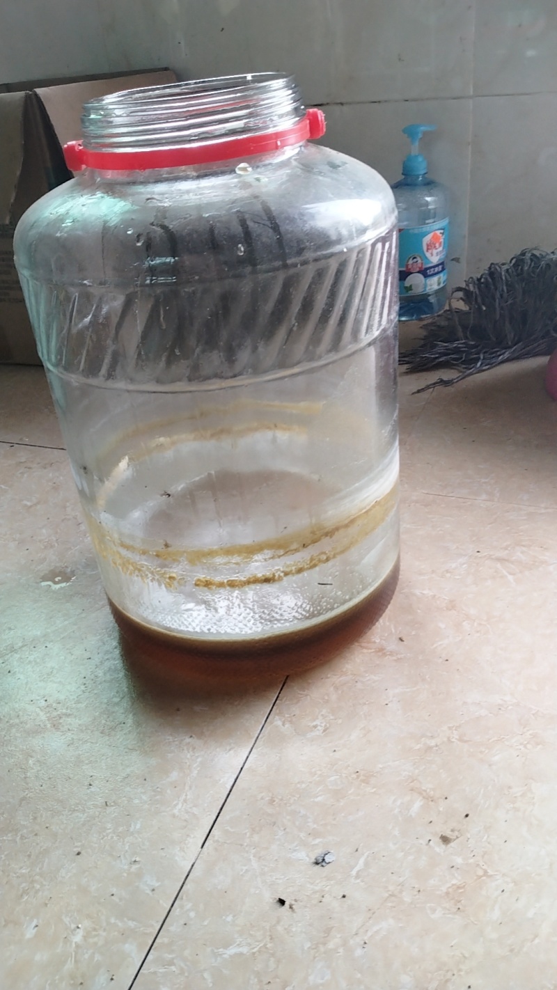 纯野生蜂蜜