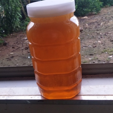 纯野生蜂蜜