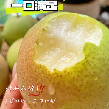 山西丹霞红梨