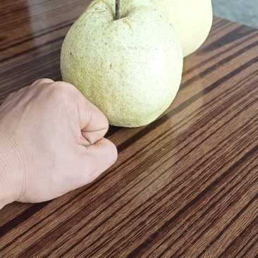 纸袋梨